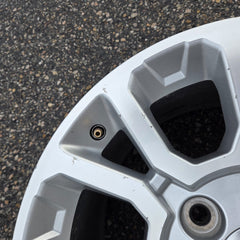 18 GMC SIERRA AT4X ZR2 SALTA AEV 1500 BISON 6X5.5 OEM FACTORY STOCK WHEELS RIMS